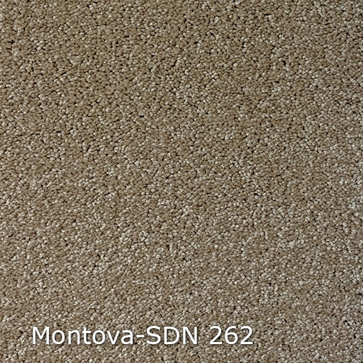 Montova SDN-262